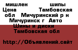 мишлен 185/70r14 шипы › Цена ­ 4 000 - Тамбовская обл., Мичуринский р-н, Мичуринск г. Авто » Шины и диски   . Тамбовская обл.